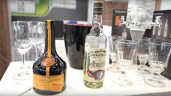 Shorter Video Move Me Video and Motion